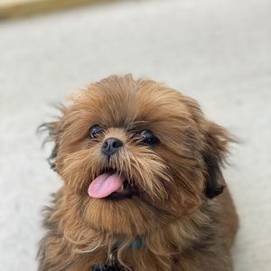 Meet your Posher, Marcus